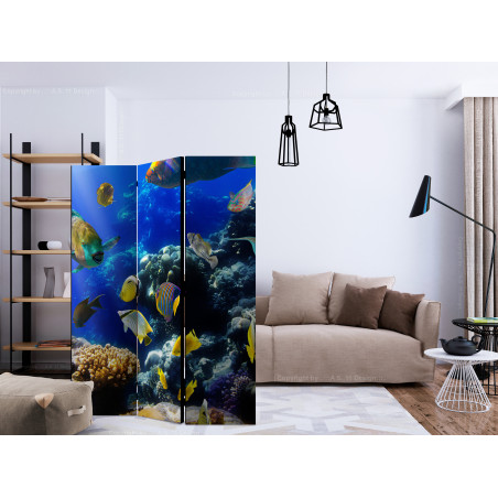 Paravan Underwater Adventure [Room Dividers] 135 cm x 172 cm-01