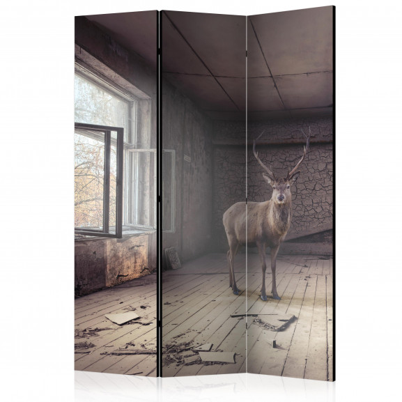 Paravan Lost [Room Dividers] 135 cm x 172 cm