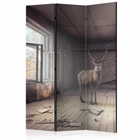 Paravan Lost [Room Dividers] 135 cm x 172 cm-01