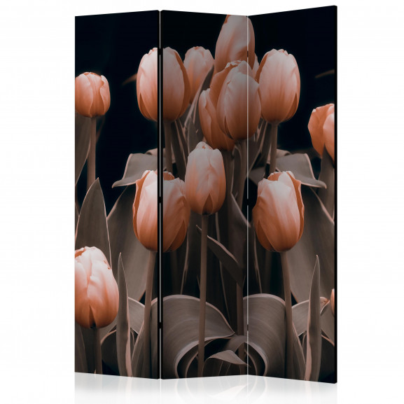 Paravan Ladies Among The Flowers [Room Dividers] 135 cm x 172 cm