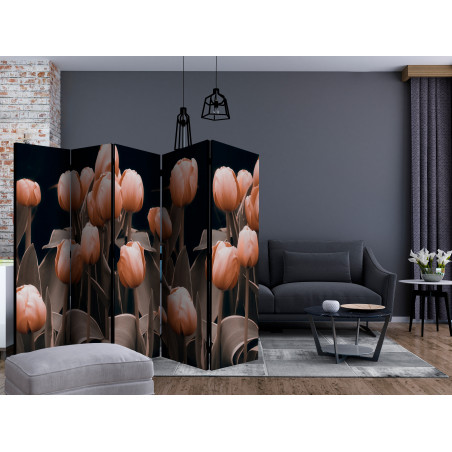 Paravan Ladies Among The Flowers Ii [Room Dividers] 225 cm x 172 cm-01