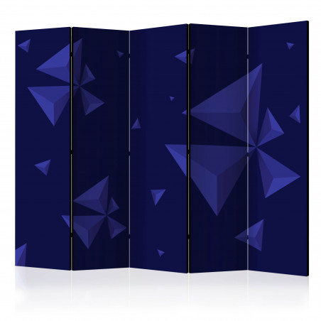 Paravan Meteor Shower Ii [Room Dividers] 225 cm x 172 cm-01