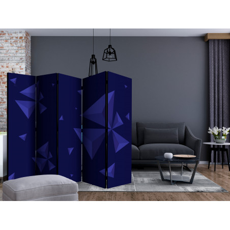 Paravan Meteor Shower Ii [Room Dividers] 225 cm x 172 cm-01