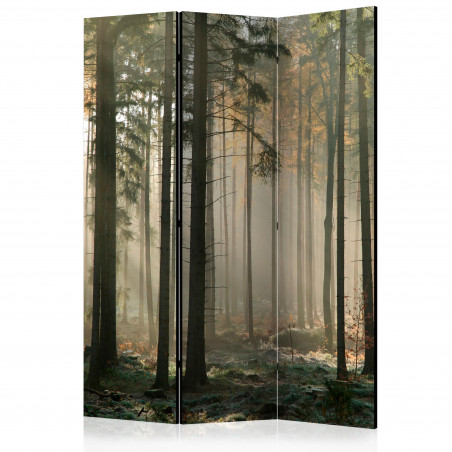 Paravan Foggy November Morning [Room Dividers] 135 cm x 172 cm-01