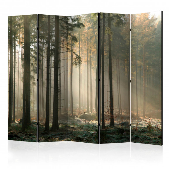 Paravan Foggy November Morning Ii [Room Dividers] 225 cm x 172 cm