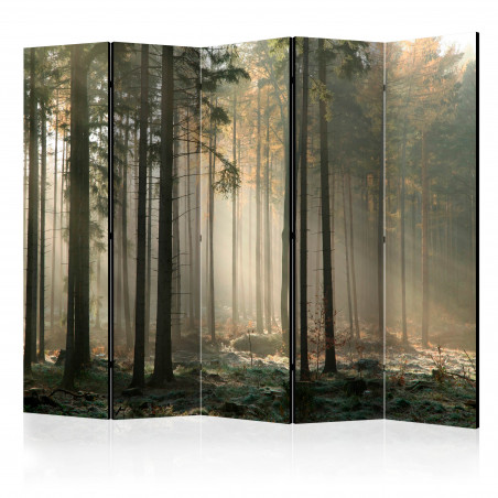 Paravan Foggy November Morning Ii [Room Dividers] 225 cm x 172 cm-01