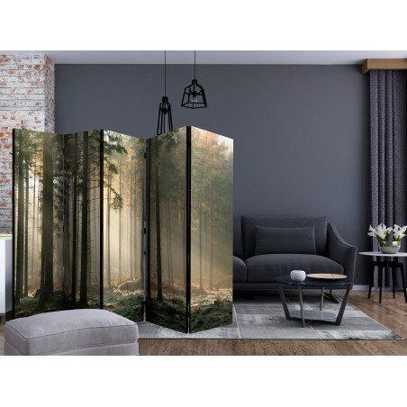 Paravan Foggy November Morning Ii [Room Dividers] 225 cm x 172 cm-01