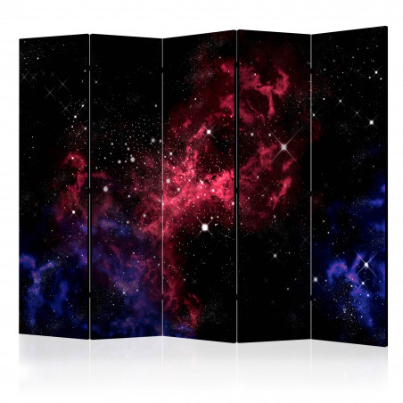 Paravan Space Stars Ii [Room Dividers] 225 cm x 172 cm-01