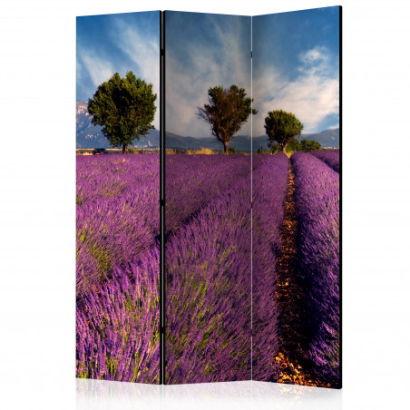 Paravan Lavender Field In Provence, France [Room Dividers] 135 cm x 172 cm-01