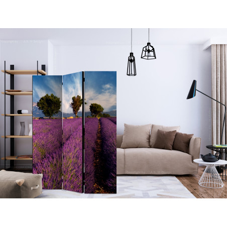 Paravan Lavender Field In Provence, France [Room Dividers] 135 cm x 172 cm-01