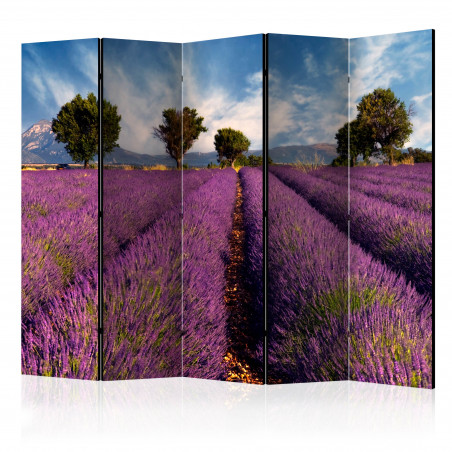 Paravan Lavender Field In Provence, France Ii [Room Dividers] 225 cm x 172 cm-01