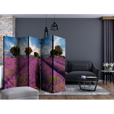 Paravan Lavender Field In Provence, France Ii [Room Dividers] 225 cm x 172 cm-01