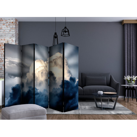 Paravan Rays In The Sky Ii [Room Dividers] 225 cm x 172 cm-01