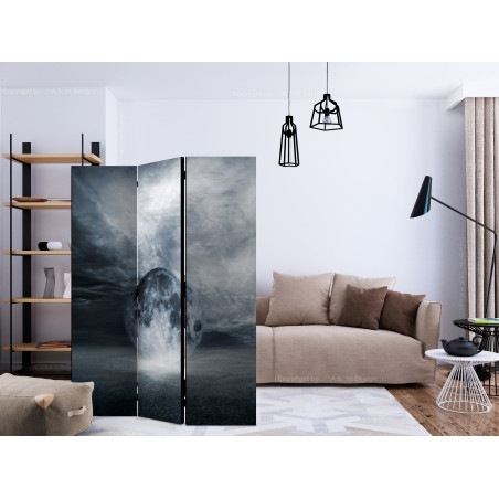 Paravan The Lost Planet [Room Dividers] 135 cm x 172 cm-01