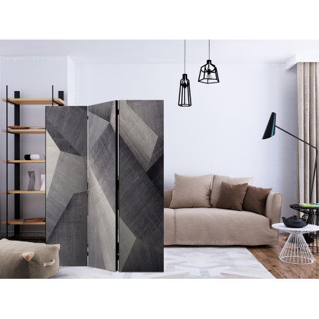 Paravan Abstract Concrete Blocks [Room Dividers] 135 cm x 172 cm-01