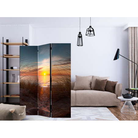 Paravan Sunset Over The Atlantic Ocean [Room Dividers] 135 cm x 172 cm-01