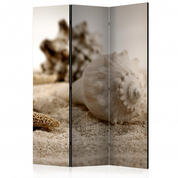 Paravan Beach And Shell [Room Dividers] 135 cm x 172 cm