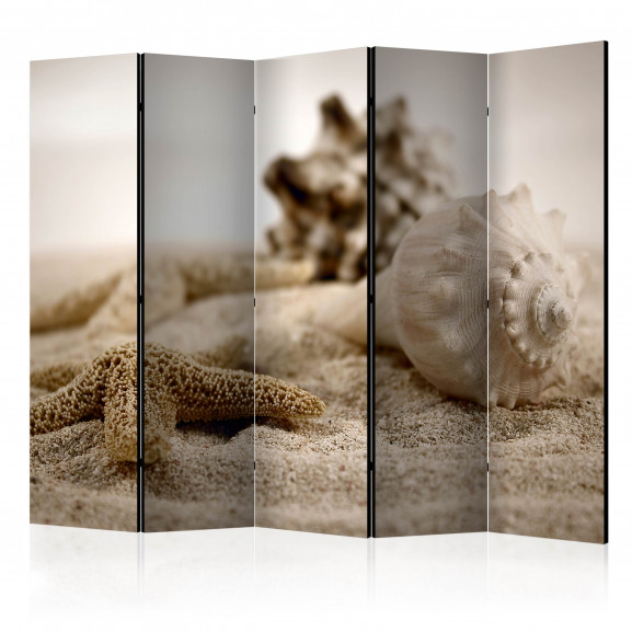 Paravan Beach And Shell Ii [Room Dividers] 225 cm x 172 cm