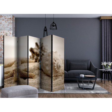 Paravan Beach And Shell Ii [Room Dividers] 225 cm x 172 cm-01