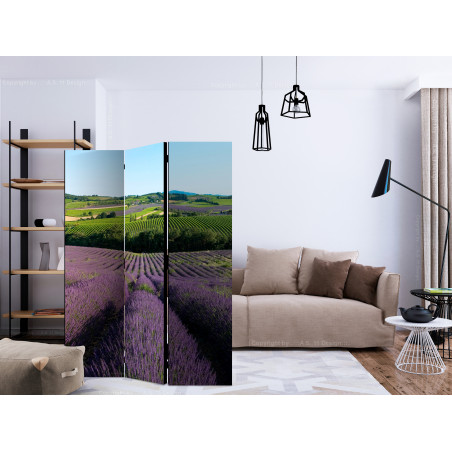Paravan Lavender Fields [Room Dividers] 135 cm x 172 cm-01