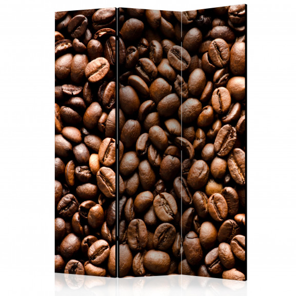 Paravan Roasted Coffee Beans [Room Dividers] 135 cm x 172 cm
