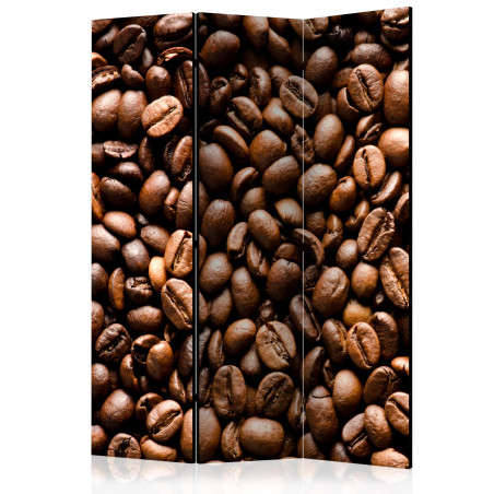 Paravan Roasted Coffee Beans [Room Dividers] 135 cm x 172 cm-01
