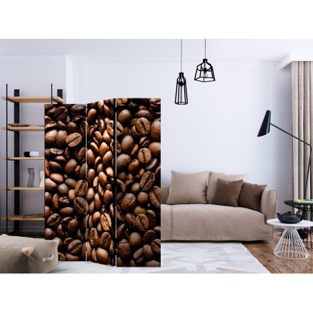 Paravan Roasted Coffee Beans [Room Dividers] 135 cm x 172 cm-01