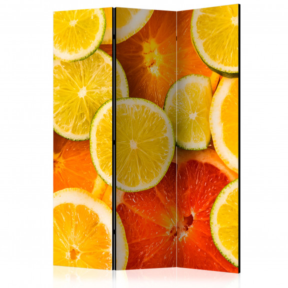 Paravan Citrus Fruits [Room Dividers] 135 cm x 172 cm