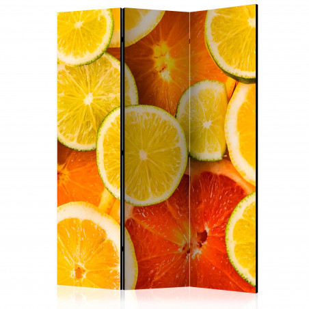 Paravan Citrus Fruits [Room Dividers] 135 cm x 172 cm-01