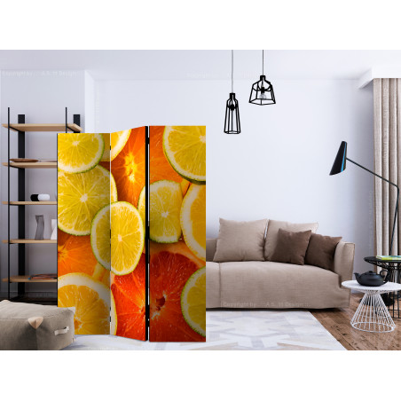 Paravan Citrus Fruits [Room Dividers] 135 cm x 172 cm-01