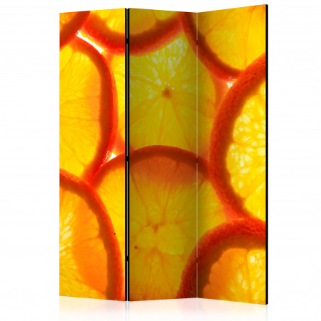 Paravan Orange Slices [Room Dividers] 135 cm x 172 cm-01