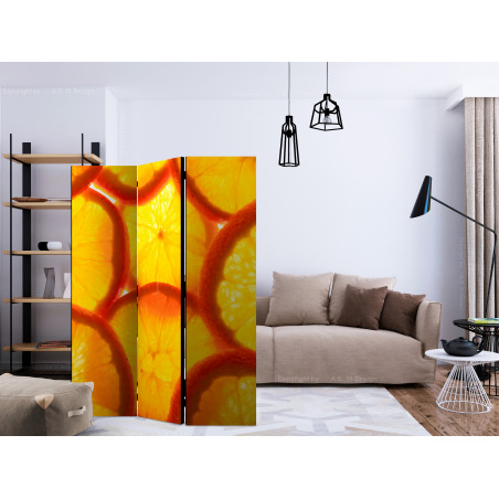 Paravan Orange Slices [Room Dividers] 135 cm x 172 cm-01