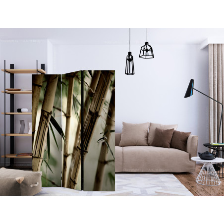 Paravan Fog And Bamboo Forest [Room Dividers] 135 cm x 172 cm-01