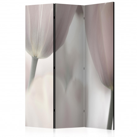 Paravan Tulips Fine Art Black And White [Room Dividers] 135 cm x 172 cm-01