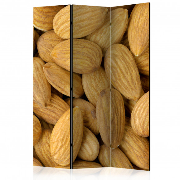 Paravan Tasty Almonds [Room Dividers] 135 cm x 172 cm