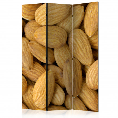 Paravan Tasty Almonds [Room Dividers] 135 cm x 172 cm-01