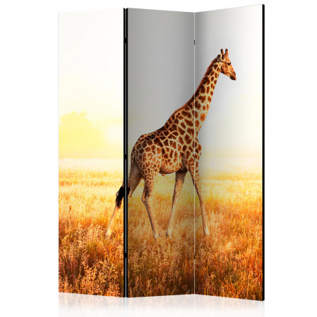 Paravan Giraffe Walk [Room Dividers] 135 cm x 172 cm-01