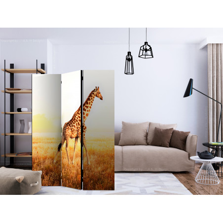Paravan Giraffe Walk [Room Dividers] 135 cm x 172 cm-01