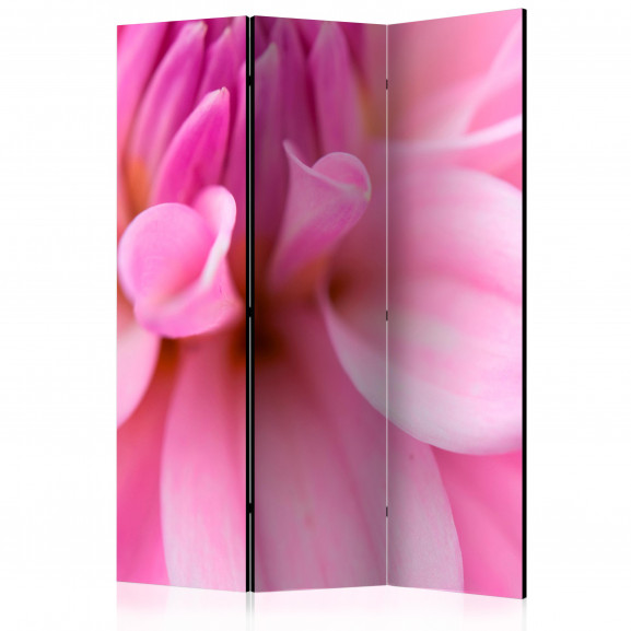 Paravan Flower Petals Dahlia [Room Dividers] 135 cm x 172 cm