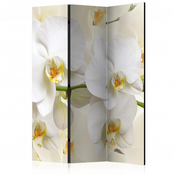 Paravan Orchid Branch [Room Dividers] 135 cm x 172 cm