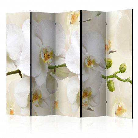 Paravan Orchid Branch Ii [Room Dividers] 225 cm x 172 cm-01