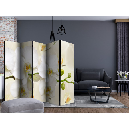 Paravan Orchid Branch Ii [Room Dividers] 225 cm x 172 cm-01