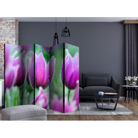 Paravan Purple Spring Tulips Ii [Room Dividers] 225 cm x 172 cm-01