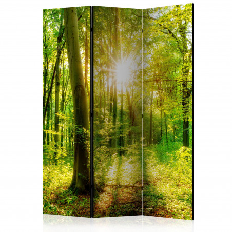 Paravan Forest Rays [Room Dividers] 135 cm x 172 cm-01