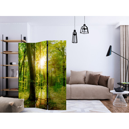 Paravan Forest Rays [Room Dividers] 135 cm x 172 cm-01