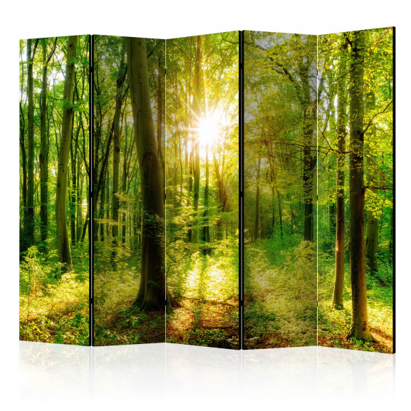 Paravan Forest Rays Ii [Room Dividers] 225 cm x 172 cm