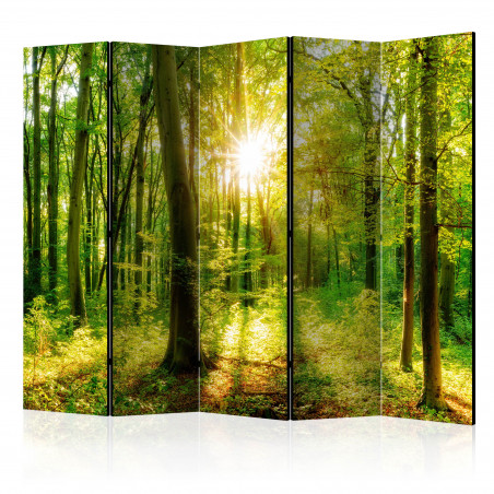 Paravan Forest Rays Ii [Room Dividers] 225 cm x 172 cm-01