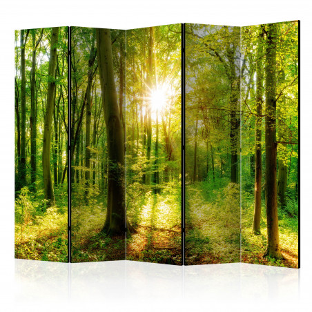 Paravan Forest Rays Ii [Room Dividers] 225 cm x 172 cm-01