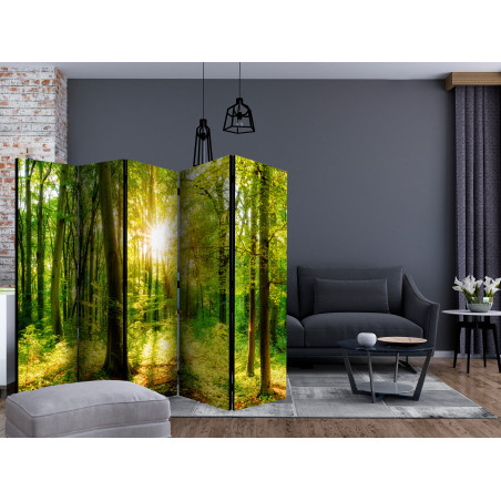 Paravan Forest Rays Ii [Room Dividers] 225 cm x 172 cm-01
