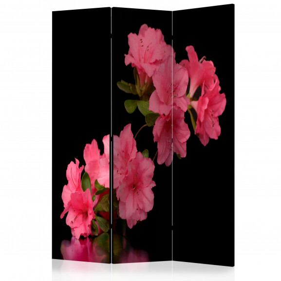 Paravan Azalea In Black [Room Dividers] 135 cm x 172 cm